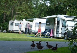 Camping Stadspark