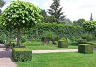 Chaletpark het Hunnenbos