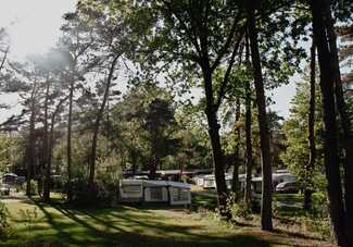 Camping & Bungalowpark In de Rimboe