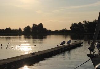 Aan 't Wiede Haven/camping/verhuur