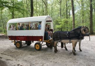 Ferienpark 't Eeser Heideveld