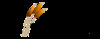 De Nieuwe Riet logo