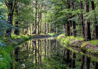 Vakantiedorp De Jutberg 