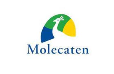 Molecaten Park Bosbad Hoeven