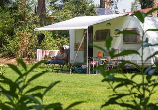 Bos- en heidecamping Zuid Ginkel
