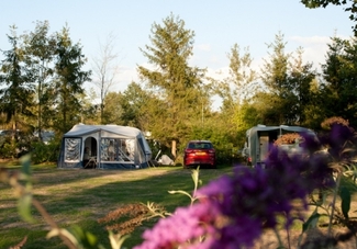 Camping de Waterjuffer