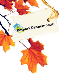 Bospark Dennenrhode