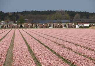 De Wijde Blick