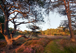 Natuurcamping De Hoogte