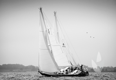 02/06/18

Photo Shooting during the Contest Yachts Cup

© Carlo Baroncini Photography