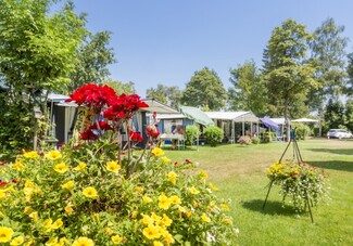 Camping de Spaendershorst 