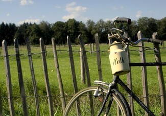 Gruppenunterkunft en B&B Oranjehoeve