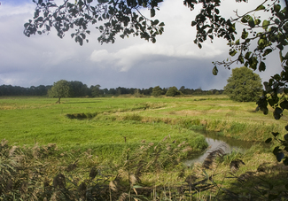 Campingplatz de Berken