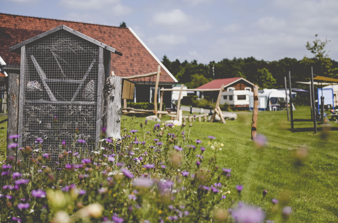 Natuurcamping in Twente