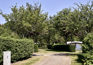 Camping Midden Drenthe