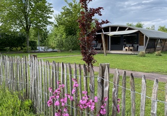 Ardoer Ferienpark 't Rheezerwold