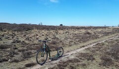 Kickbike sportstep