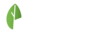 De Pan logo