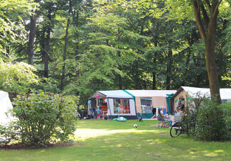 Molecaten Park Bosbad Hoeven