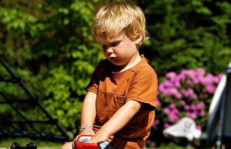 Molecaten Park Landgoed Molecaten 11 - spelen.jpg