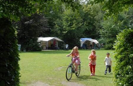 Molecaten Park Landgoed Molecaten 02 - camping.jpg