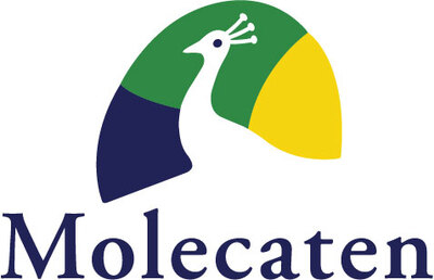 Molecaten Park 't Hout
