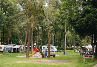 Beerze Bulten