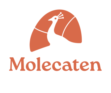 Molecaten Park Bosbad Hoeven